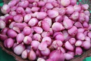 What-Can-I-Use-Instead-of-Shallots.jpg
