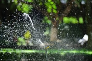 What-You-Need-to-Know-About-Sprinkler-Repair.jpg