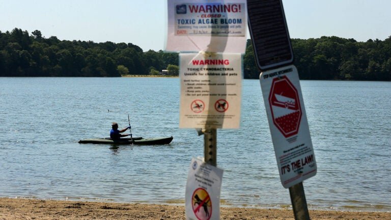 algaebloom-6a7894eca8b79-768x432.jpg