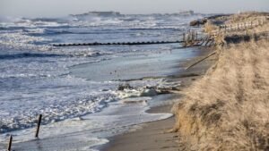 beach26.jpg