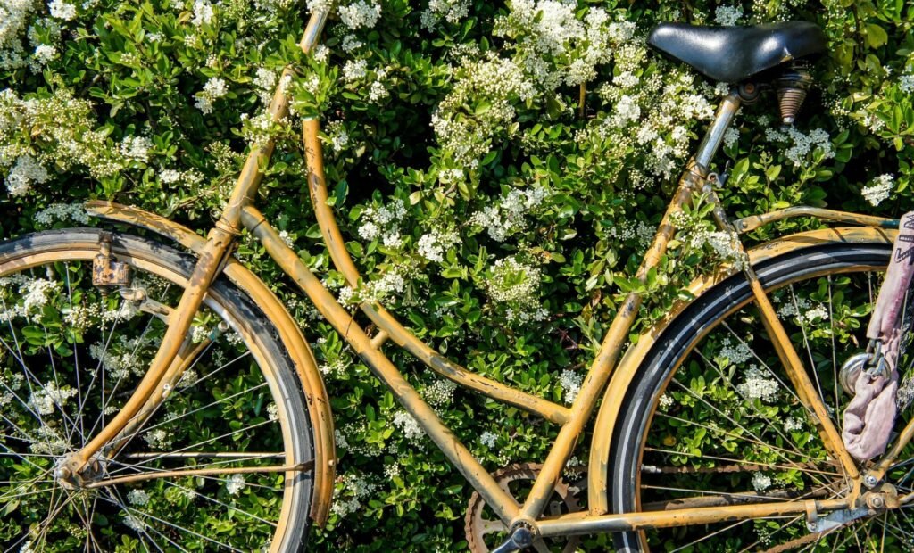 bike-flowers-scaled-1.jpg