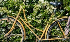 bike-flowers-scaled-1.jpg