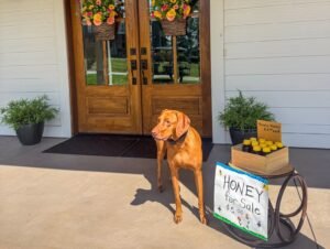 finley-honey-e1787916744345.jpg