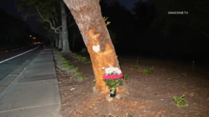 mission-viejo-crash.png