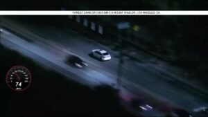 pursuit-82626.jpg