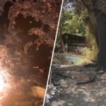 Residents say hearth is simply newest headache at deserted Studio Metropolis lot – NBC Los Angeles