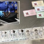 LaGuardia Airport’s TSA X-ray reveals unlawful stash hid beside passenger’s Xbox