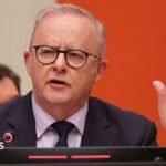 Why Australia selected the world’s largest political stage to disclose OpenAI hack