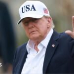 Trump downplays AI dangers after dire knowledgeable warnings and calls to gradual growth down
