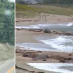 Cape Cod will get battered by robust winds from nor’easter