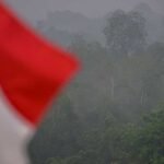 acf6fa12-eafe-422b-8b11-90e62fe24b6d.jpg