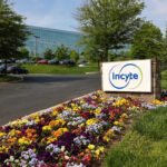 How Is Incyte’s Inventory Efficiency In comparison with Different Biotech Shares?