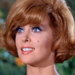 Tina Louise’s Final TV Function Was A Visitor Apperance In A Forgotten ’90s Crime Present