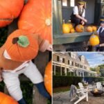 You’ll be able to’t beat a day trip on the farm
