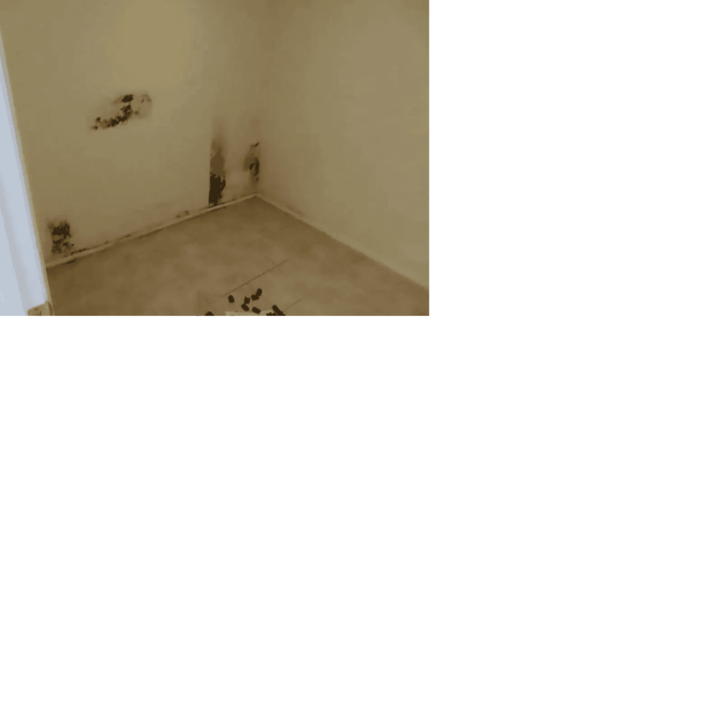 pared.png