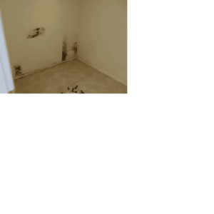 pared.png