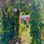 Busy, However Not Overwhelmed | A Wholesome Slice of Life