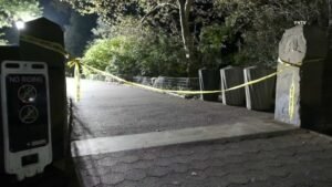 Central-Park-sex-assault-3.jpg