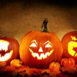 The way to Make Your Carved Pumpkin Final Longer: 6 Suggestions