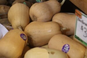 How-to-Pick-a-Good-Butternut-Squash.jpg