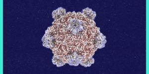 MIT-TR-Roundtables_Oct-2-Thumbnail.png