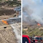 Wind-driven Norte Fireplace burns properties, forces evacuations in Orange County – NBC Los Angeles