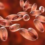 Russian lab employee dies of suspected pneumonic plague – NBC New York