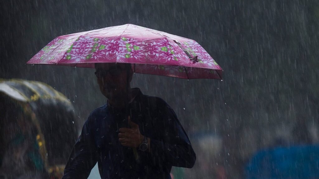 Umbrella_Generic_Image.jpg