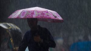Umbrella_Generic_Image.jpg