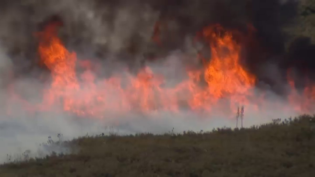 bouqet-fire-new.png