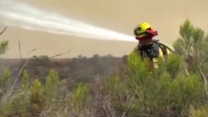 cal-fire-wildfire-generic-1-1.jpg