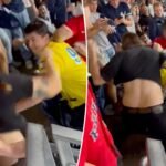 Yankees-Pink Sox fan brawl sees large punches in chaotic scene