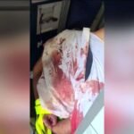 Pilot stabbing raises aviation safety questions, additional unsettles a area shaken by US-Iran struggle – Boston Information, Climate, Sports activities