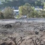 Norte Hearth contained by 50% – NBC Los Angeles