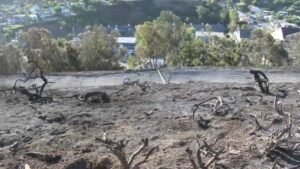 norte-fire-burn-scar.jpg